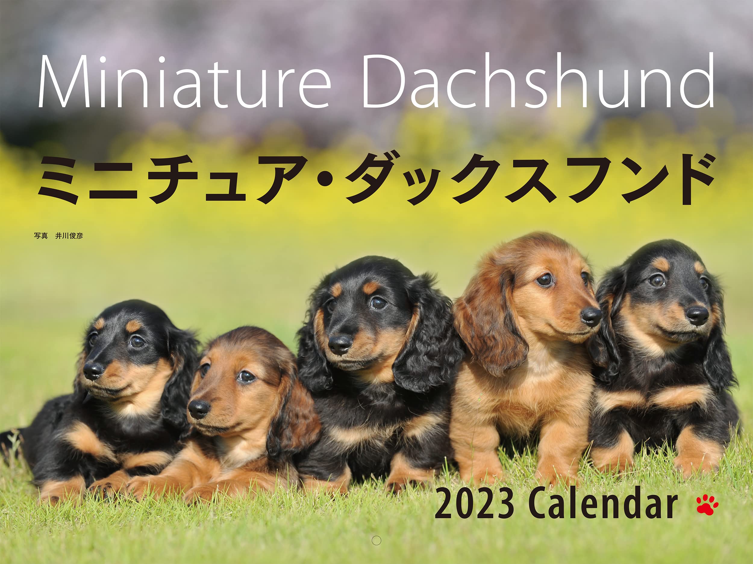 版画（額縁なし）】ジュネリコ（犬、ミニチュアダックス） 大き
